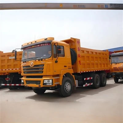 Used Shaanqi Dump Truck
